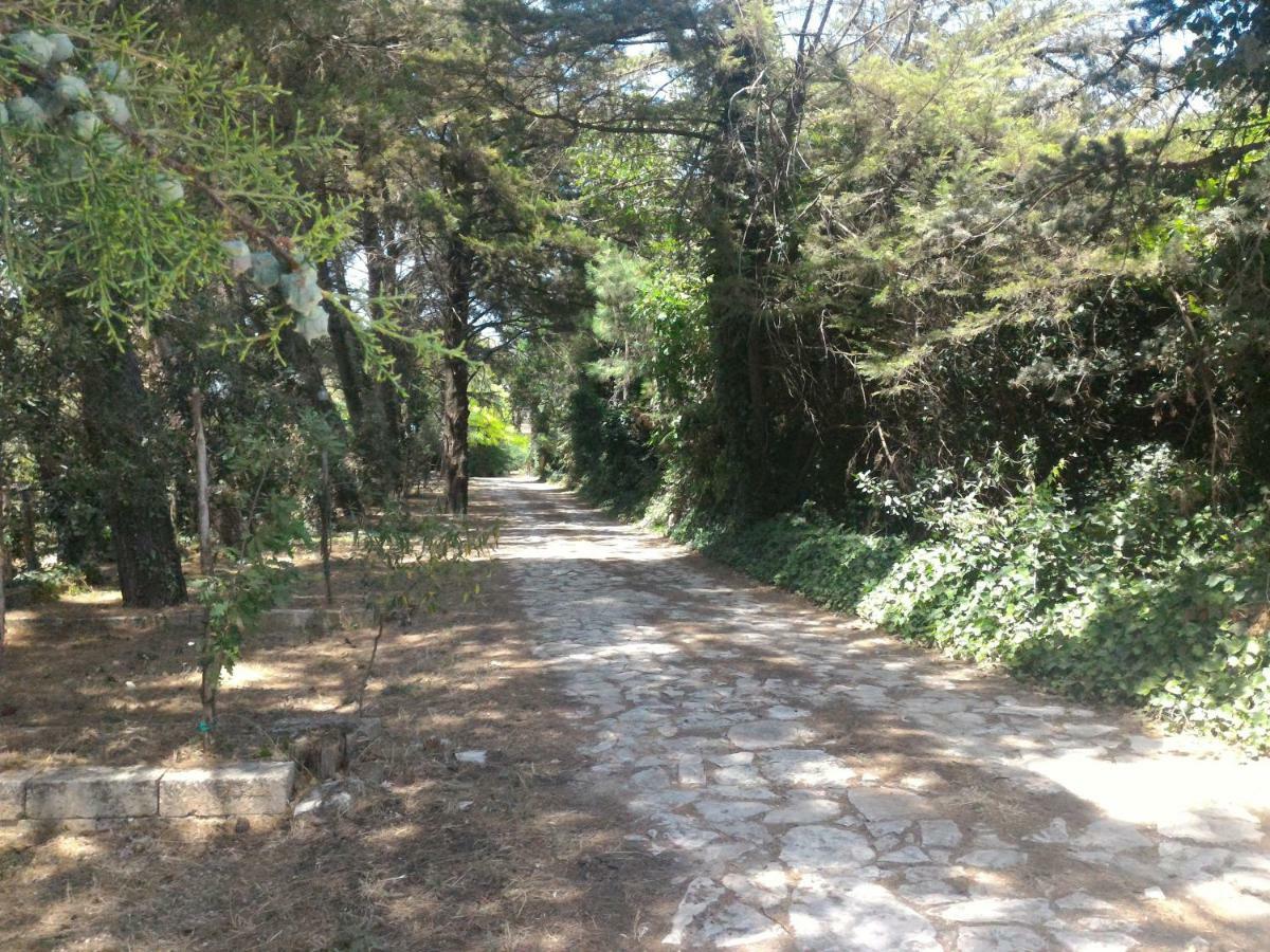 Masseria La Fiorita Матера Екстер'єр фото